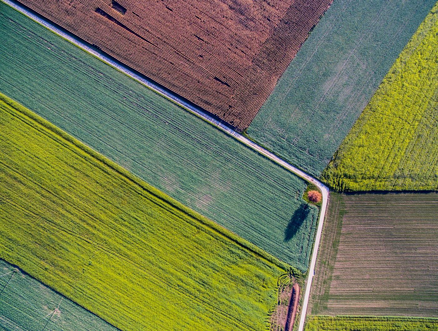 Aerial view of patchwork crop fields